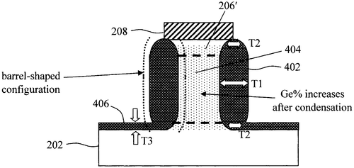Nanopore structures Image