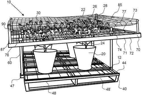 Flowering plant growing system and method of using same Image