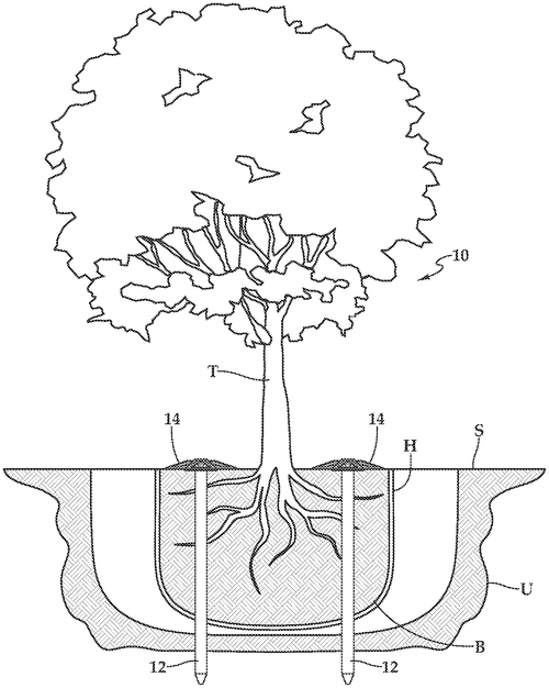 Arbor stake stabilization member Image